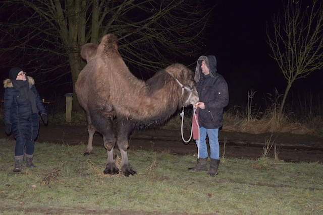 WEIHNACHT2017 Schmude